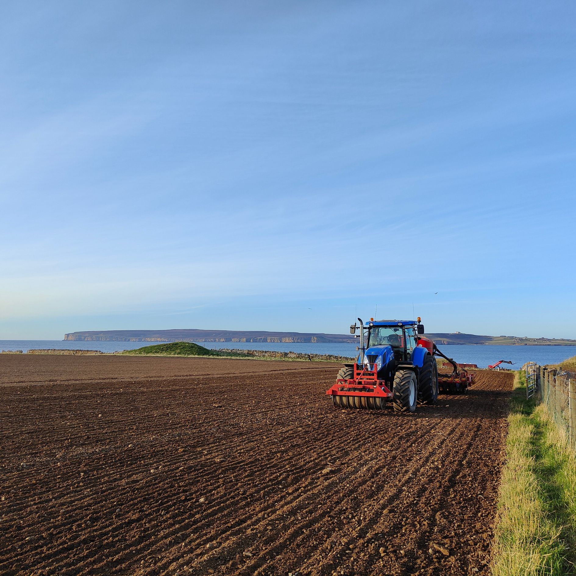 Sowing the barley image