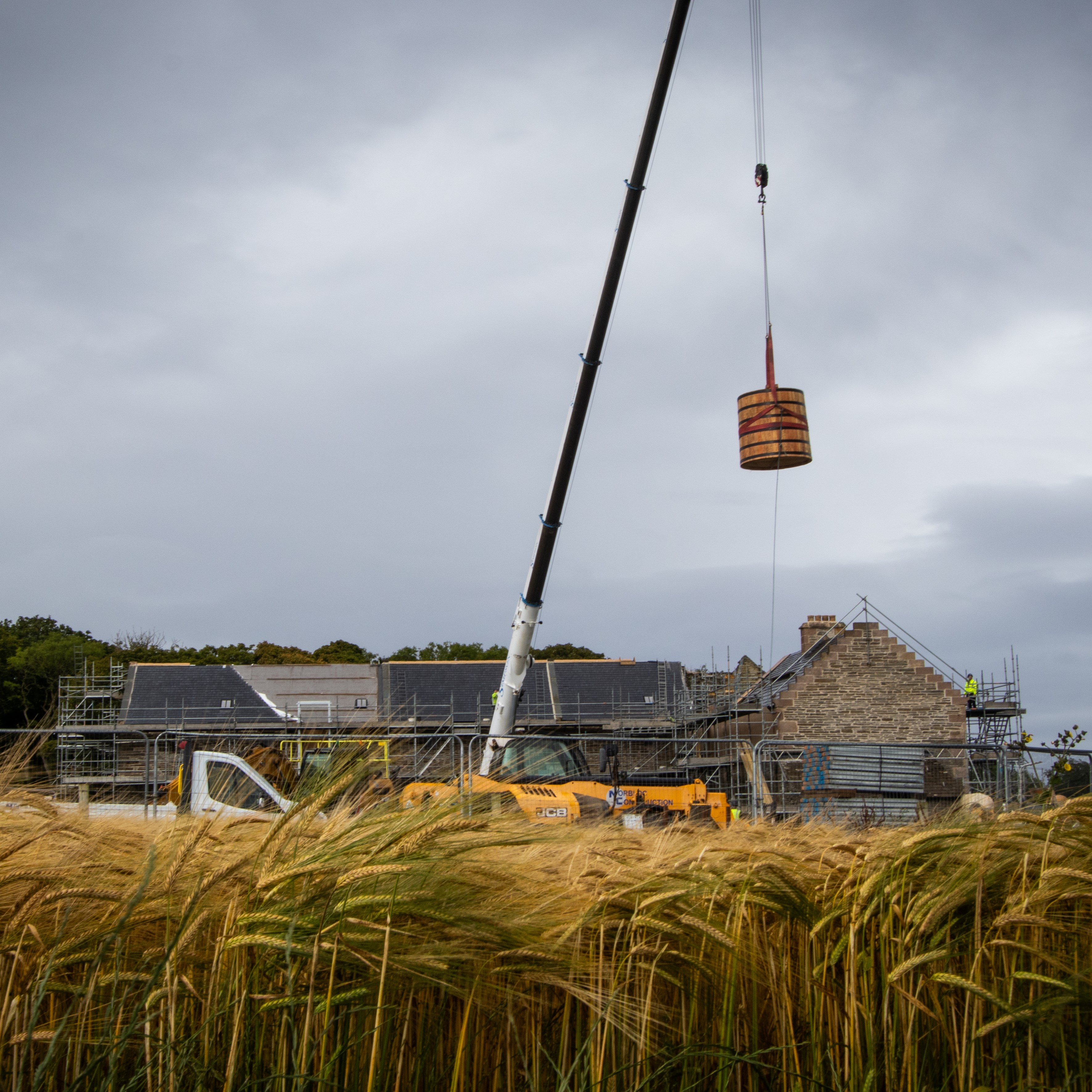 Sowing the barley image